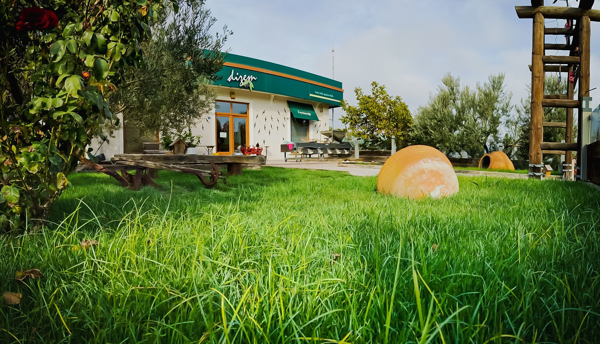 Dizem Zeytinyağı Fabrikası