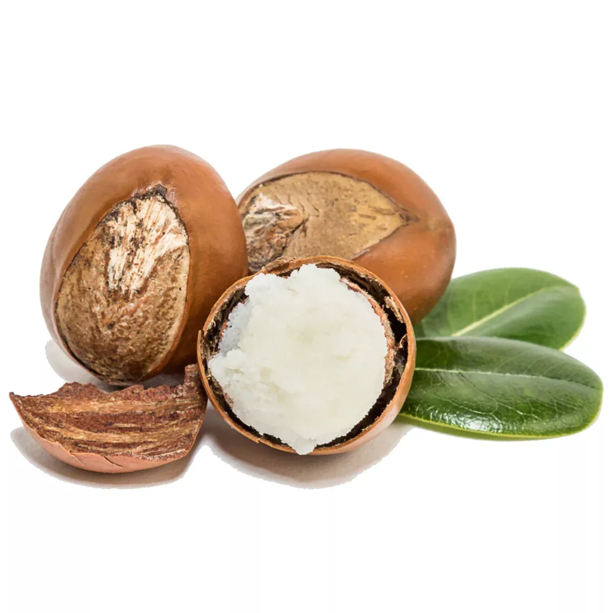 Dudaklarınızı Doğal Yollarla Besleyin: Organik Zeytinyağı ve Shea Yağı İçeren Dudak Kremi'nin Faydaları